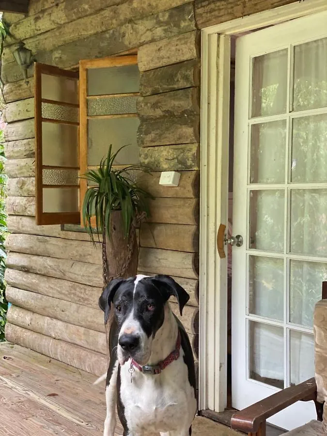 The Wake-Up Call Accommodation & Retreats - Noosa Hinterland Pomona Pensionat