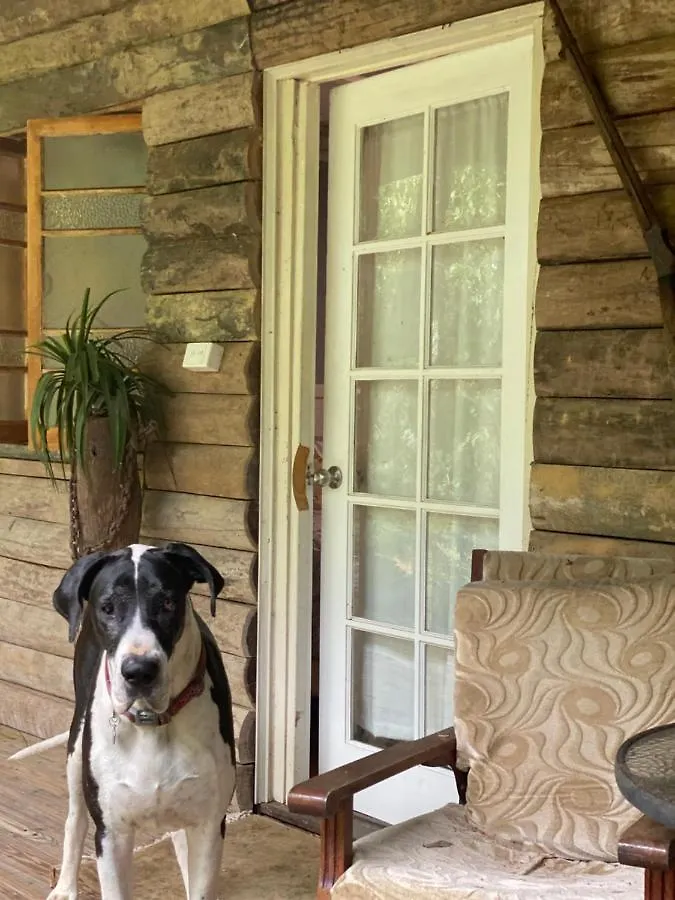 Pensionat The Wake-Up Call Accommodation & Retreats - Noosa Hinterland Pomona