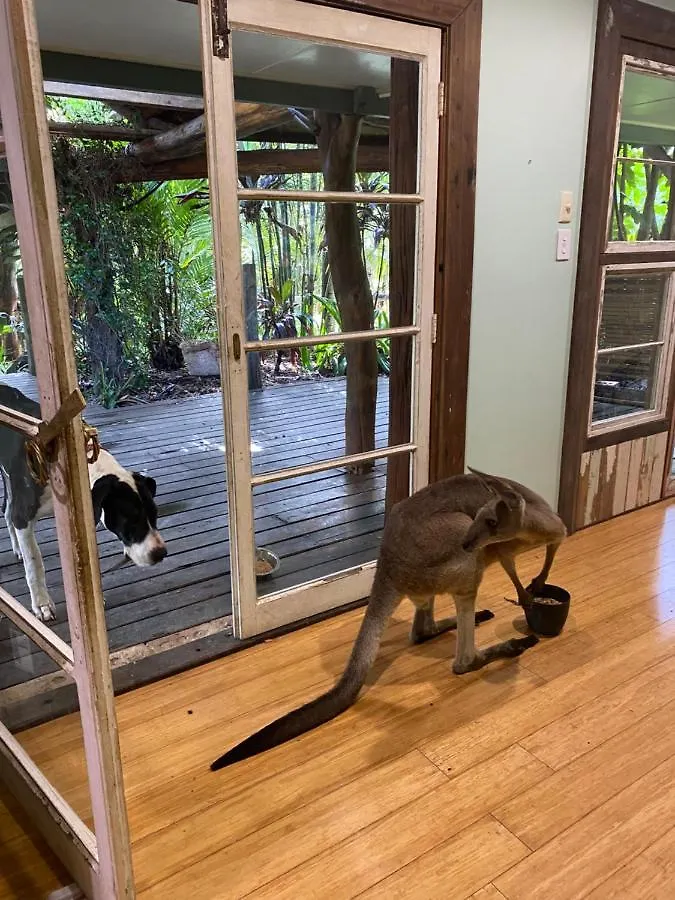 The Wake-Up Call Accommodation & Retreats - Noosa Hinterland Pomona 0*,